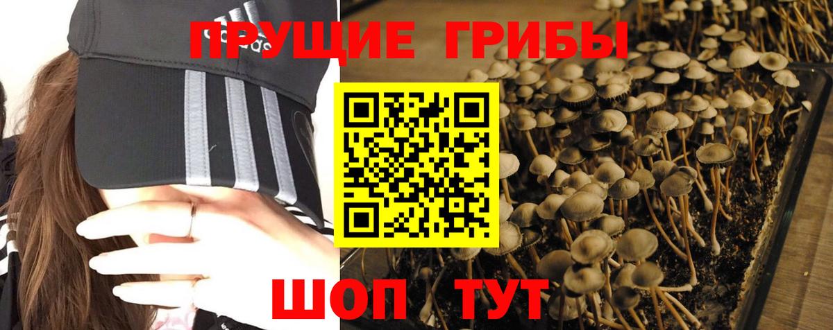 где найти наркотики  Галлюциногенные грибы Psilocybe  Вход с VPN  Псилоцибиновые грибы мухоморы  Когалым 